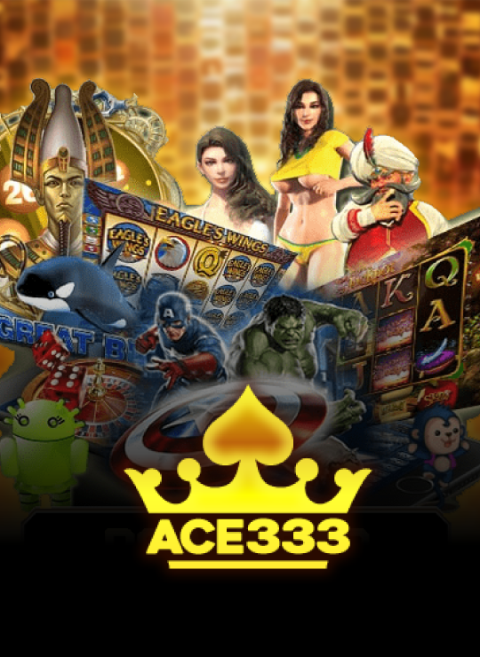 Provider_ACE333