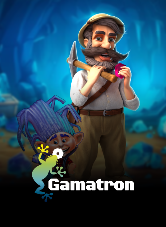 Provider_GAMATRON